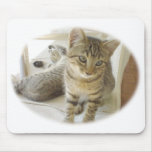 Bob Cat mousepads