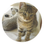 Bob Cat stickers