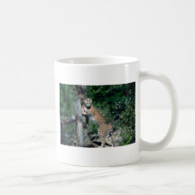 Bobcat at scratching post, sign post coffee mug
