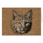 Bobcat Greeting Card