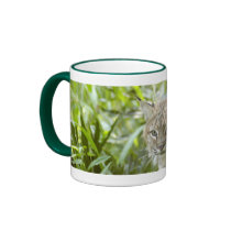 Bobcat Mugs