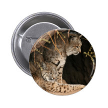 Bobcat Photos Round Button