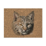Bobcat Postcard
