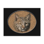 Bobcat Postcard 2