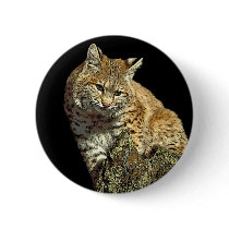Bobcat Products from Junglewalk.com