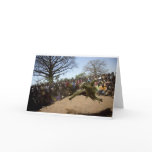 Bobo Dioulasso. Funeral ceremonies. cards