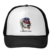 BoBo Show's his patriotism. Trucker Hat
