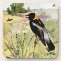 Bobolink, Daisies and Pink Clover Drink Coasters