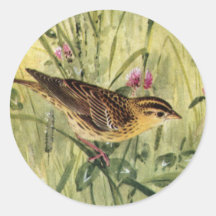 Bobolinks, Daisies and Pink Clover Stickers