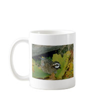 Bobwhite quail, cock lying at edge of autumn grass coffee mug