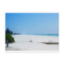 Boca Grande Beach II Postcard