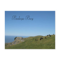 Bodega Bay, Ca, Post Cards