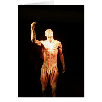 Bodies Exhibition Greeting Cards by jdaichman