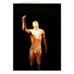 Bodies Exhibition cards