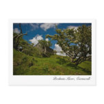 Bodmin Moor, Cornwall Postcard