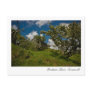 Bodmin Moor, Cornwall Postcard