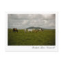 Bodmin Moor, Cornwall Postcard