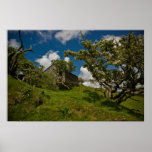 Bodmin Moor Poster