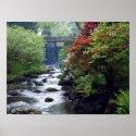 Bodnant Gardens North Wales U.K posters