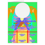 body_abdomina_color2 グリーティングカード