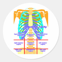 body_abdomina_color sticker