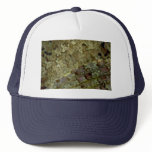 Body and pectoral fin of a Caribbean scorpion fish Hat