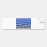 Body Surfer Catches a Wave Beach Ocean Sand Bumper Sticker