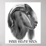 Boer Goat Poster posters