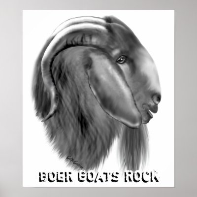 Boer Goat Poster by getyergoat