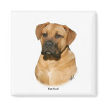 Boerboel 9Y121D-294 Fridge Magnet