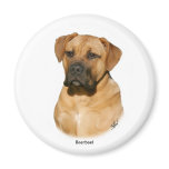 Boerboel 9Y121D-294 Refrigerator Magnet
