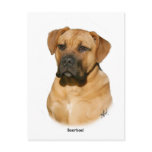 Boerboel 9Y121D-294 Post Cards