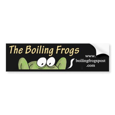 Boiling Frogs Post © Rear Window/ Bumper Stickers by sibeledmonds