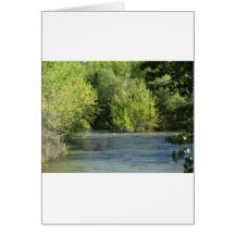 Boise River Cards