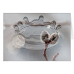 Bokeh Beautiful; Customisable Greeting Cards