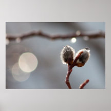 Bokeh Beautiful Print