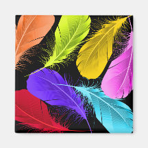 Bold Vivid Wild Colored Feathers On Black Refrigerator Magnets
