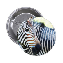 Bold Zebra Button