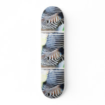Bold Zebra Skateboard