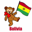 Bolivia Teddy Bear photo sculptures