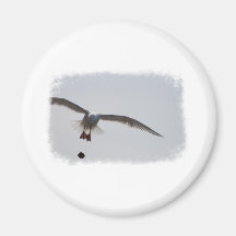 Bombs away bird fridge magnets