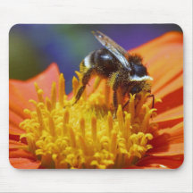 Bombus terrestris mousepads