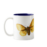 Bombyx quercus female mug