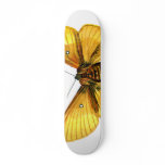Bombyx quercus female skate deck