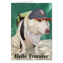 Bon Voyage Card