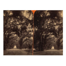 Bonaventure Cemetery, Savannah, Ga c. 1886 Postcards