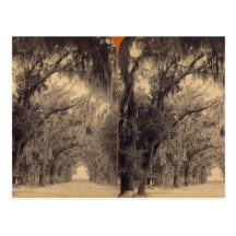 Bonaventure Cemetery, Savannah, Ga c. 1887 Postcard