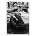 Bonaventure Cemetery Savannah, GA Cards