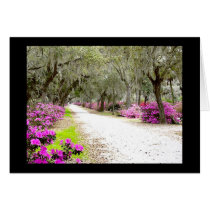 Bonaventure Spring Card