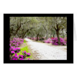 Bonaventure Spring cards